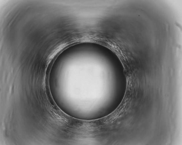 X0000095520292200712140916