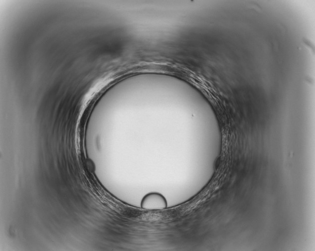 X0000095520294200712140916