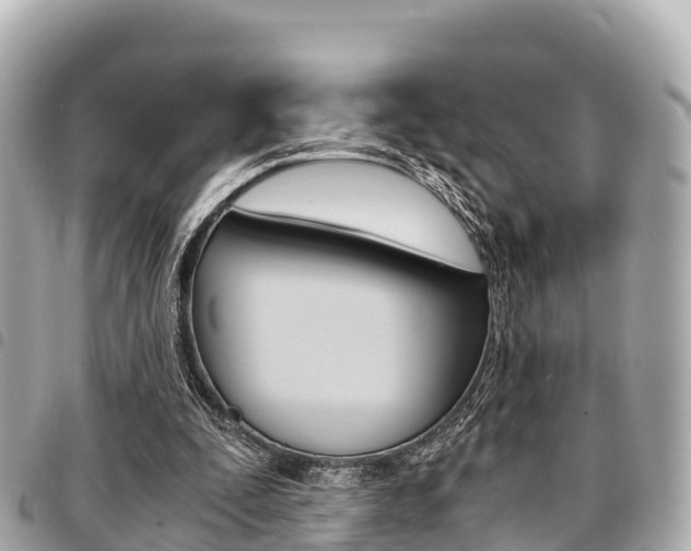 X0000095520295200712140916