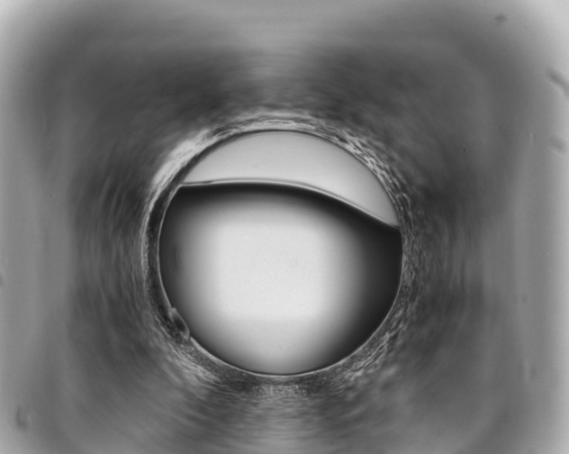 X0000095520296200712140915