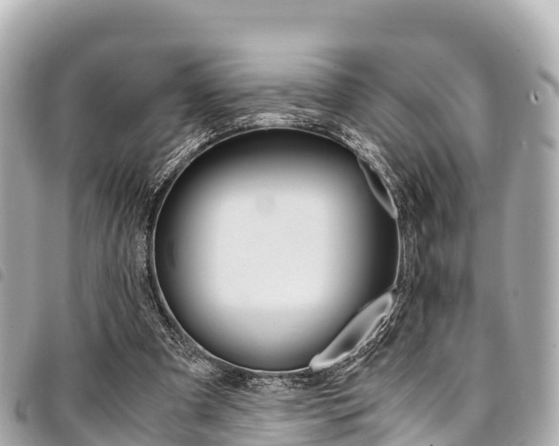 X0000095520297200712140915