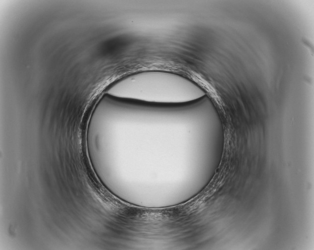 X0000095520298200712140915