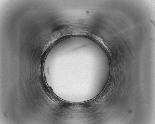 X0000095520299200712140915