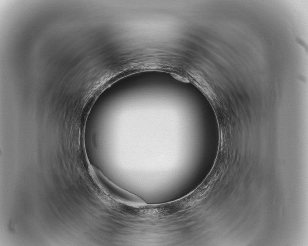 X0000095520301200712140915