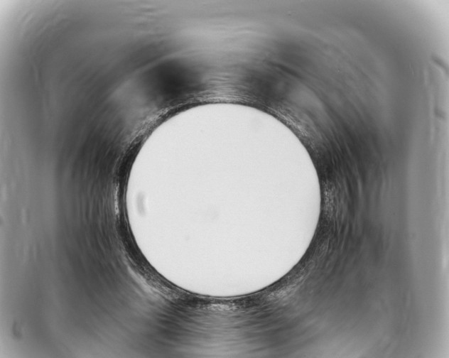 X0000095520302200712140915