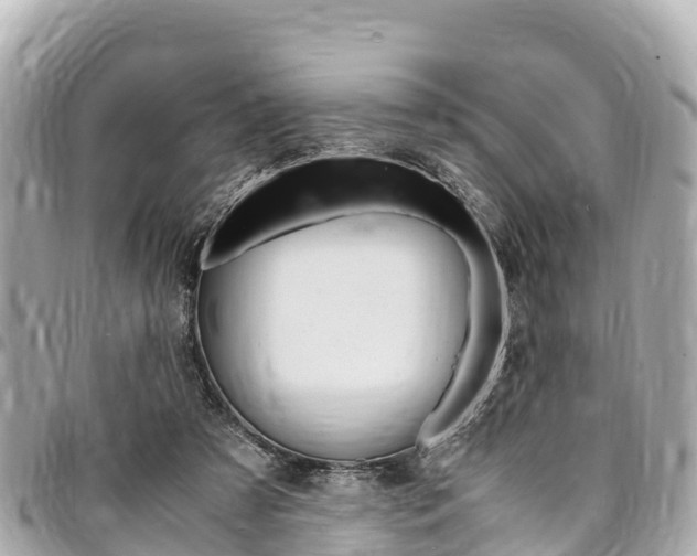 X0000095520305200712140915