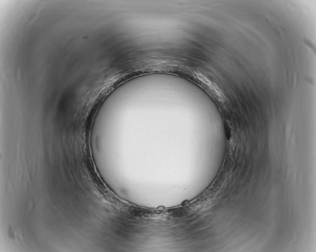 X0000095520306200712140915