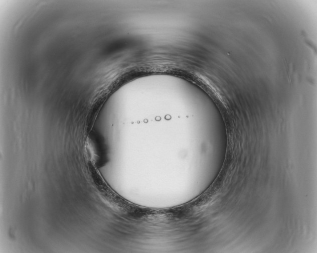 X0000095520307200712140915