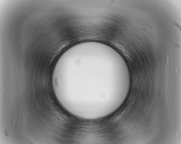 X0000095520308200712140915