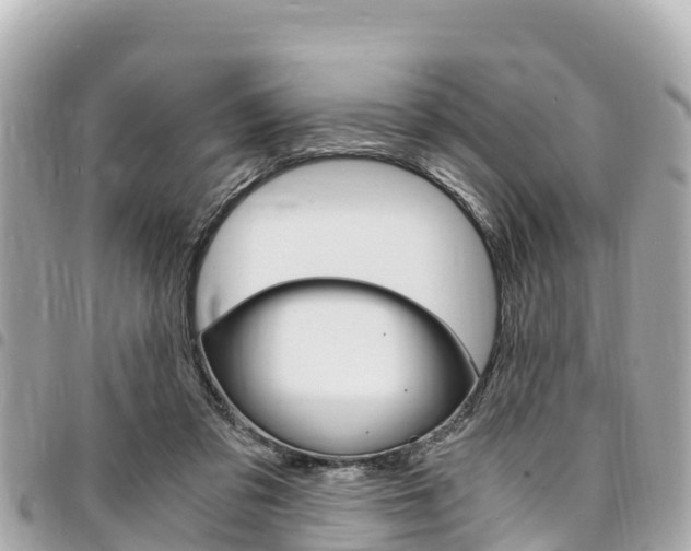 X0000095520309200712140915