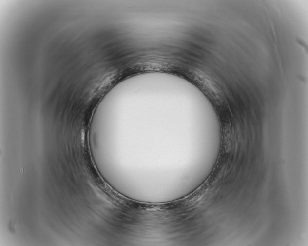 X0000095520310200712140915