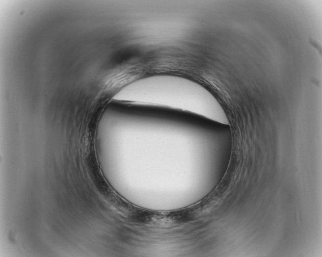 X0000095520311200712140915