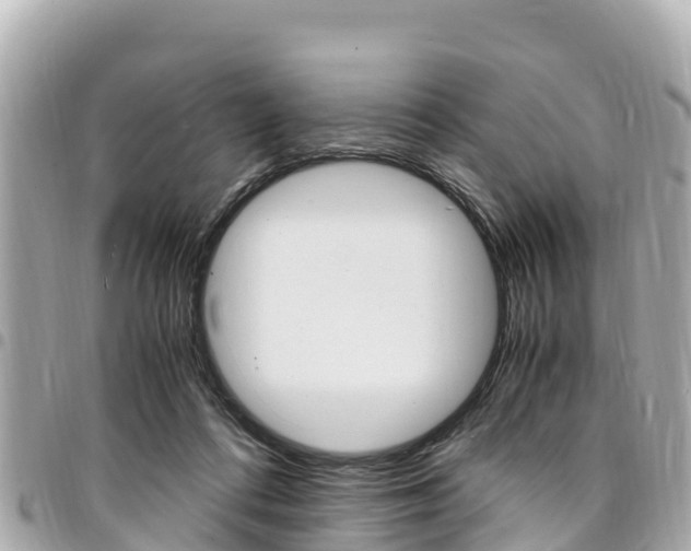 X0000095520312200712140915