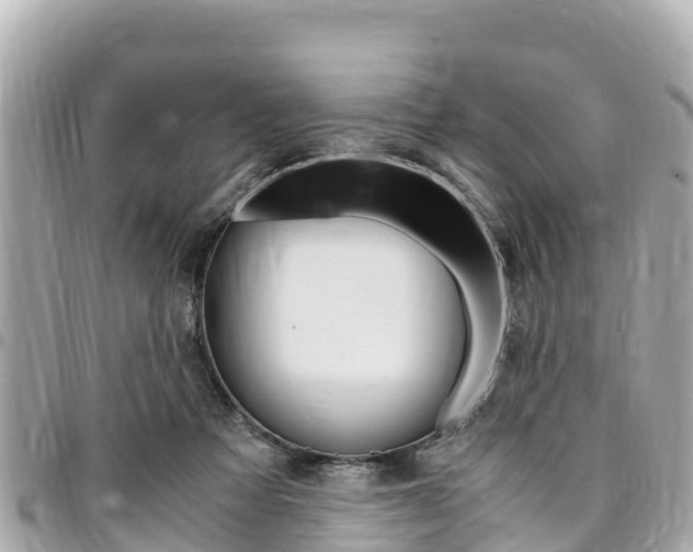 X0000095520313200712140915