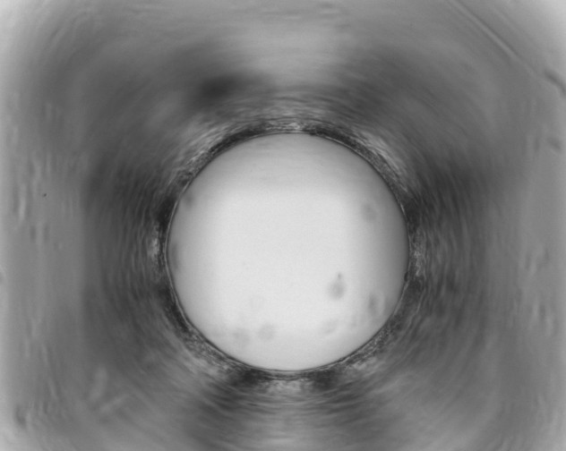 X0000095520314200712140915