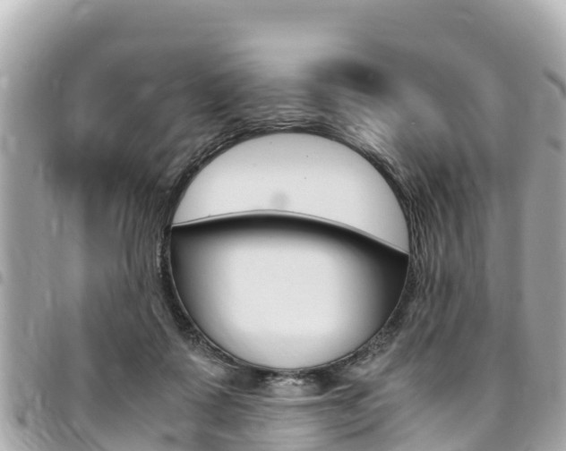 X0000095520315200712140915