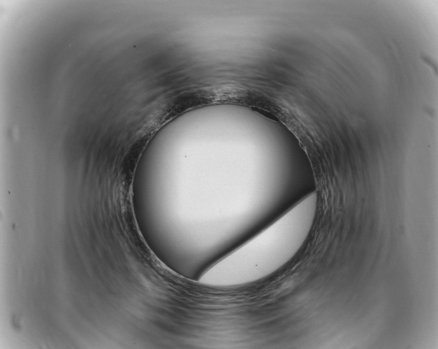 X0000095520316200712140915