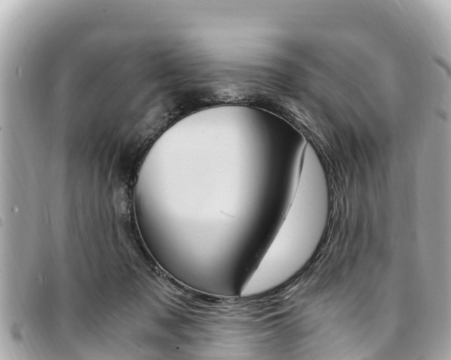 X0000095520317200712140915