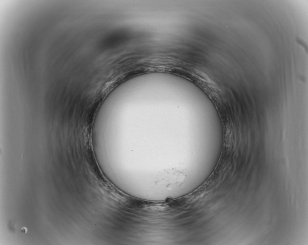 X0000095520318200712140915