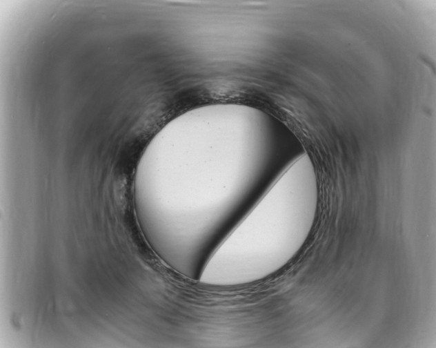 X0000095520319200712140915
