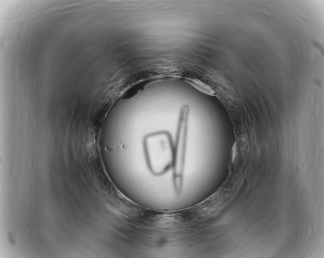 X0000095520320200712140915