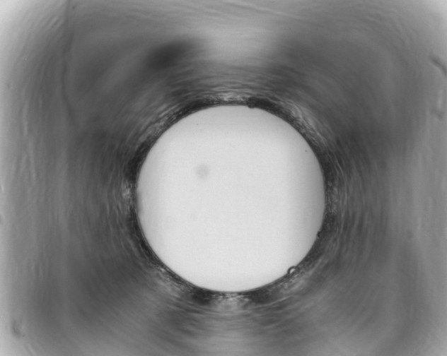 X0000095520321200712140915