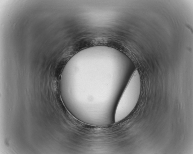 X0000095520323200712140915
