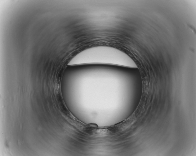 X0000095520324200712140915