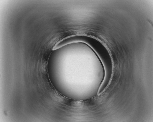 X0000095520325200712140915