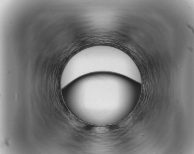 X0000095520327200712140915