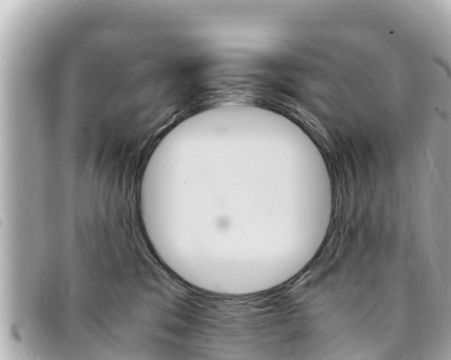X0000095520329200712140915
