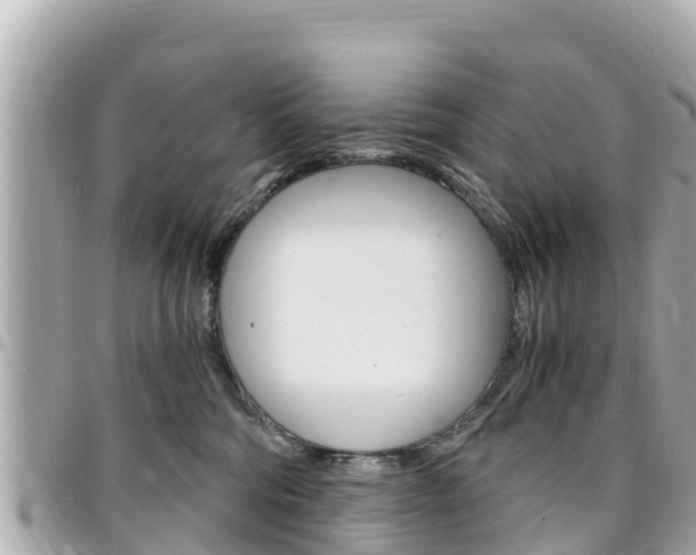X0000095520330200712140915