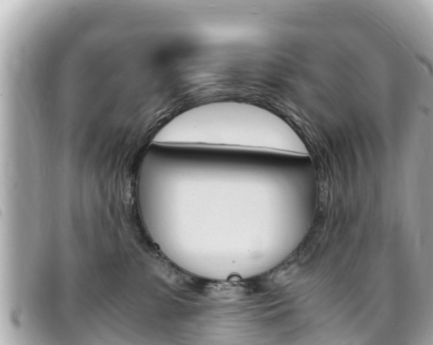 X0000095520331200712140915