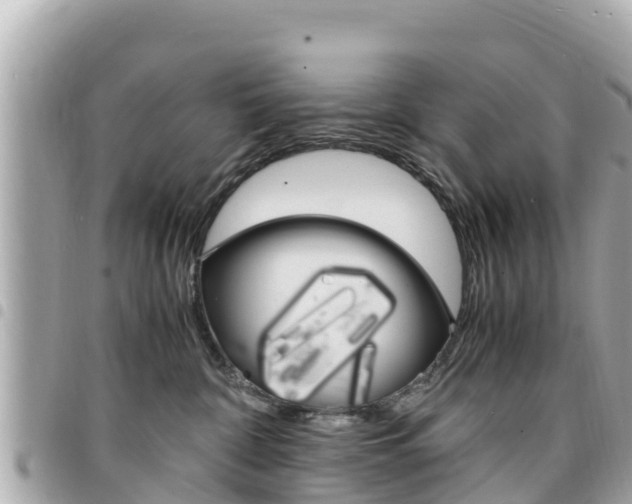 X0000095520332200712140915
