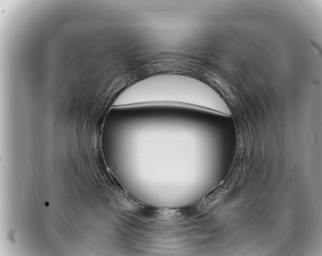 X0000095520333200712140915