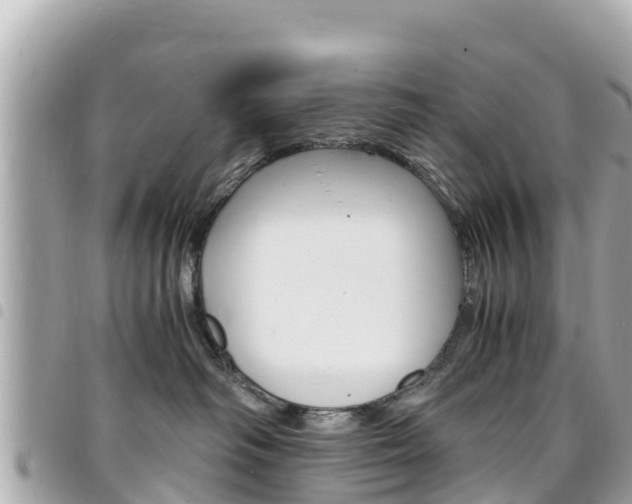 X0000095520334200712140915