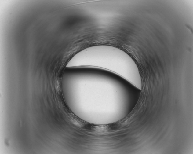 X0000095520335200712140915