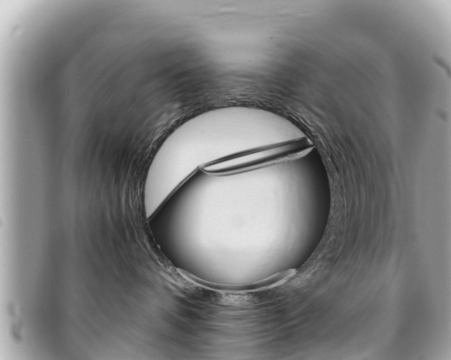 X0000095520336200712140915