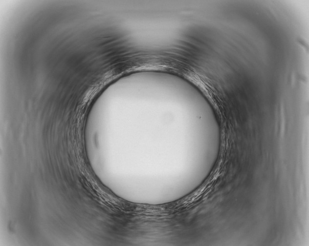 X0000095520337200712140914