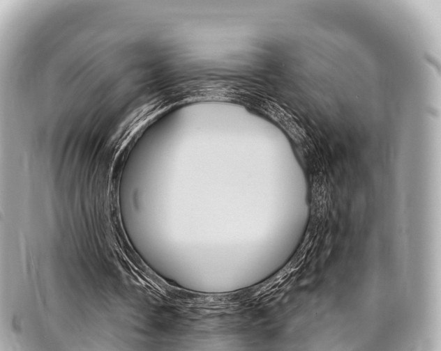 X0000095520338200712140914
