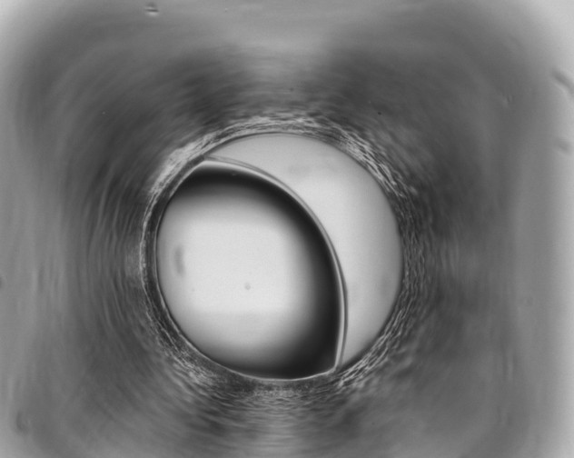 X0000095520340200712140914