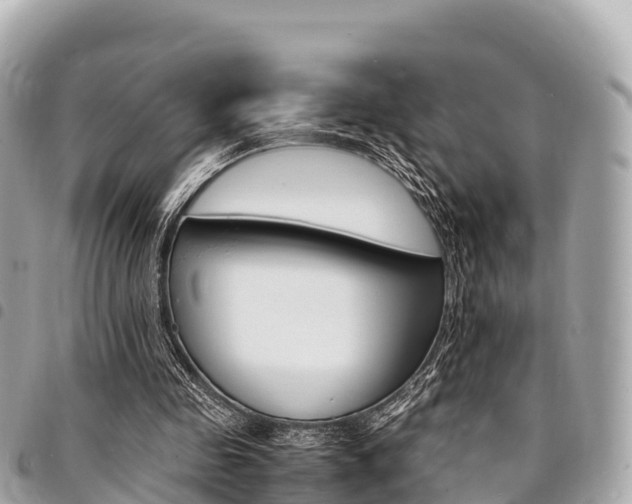 X0000095520341200712140914