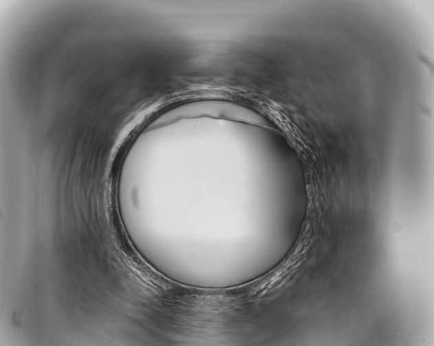 X0000095520342200712140914