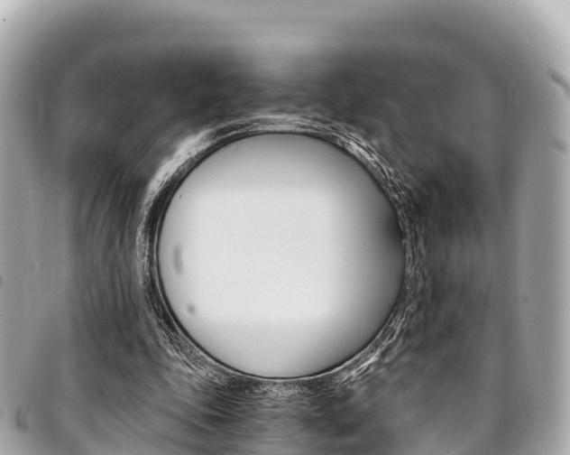 X0000095520343200712140914