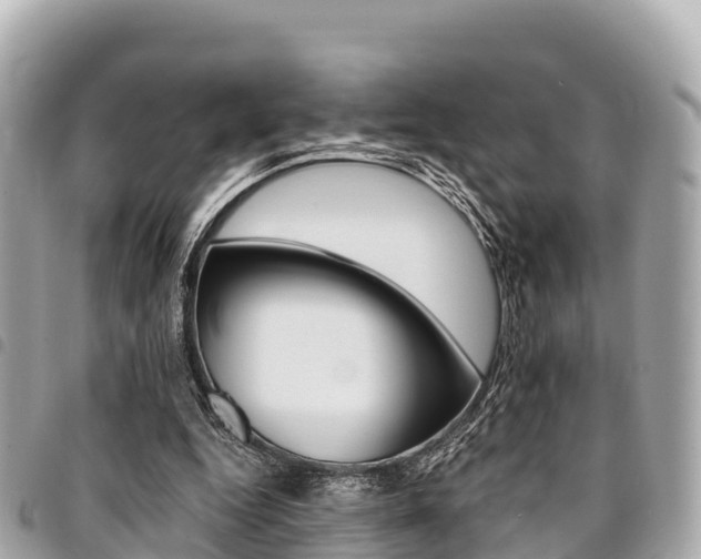 X0000095520344200712140914