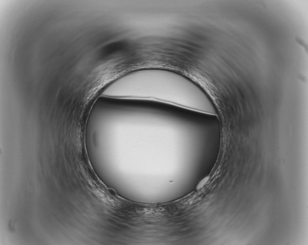 X0000095520345200712140914