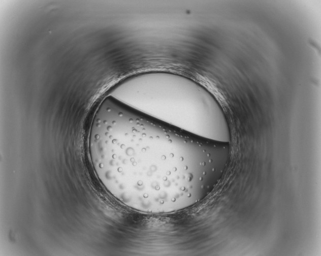 X0000095520346200712140914