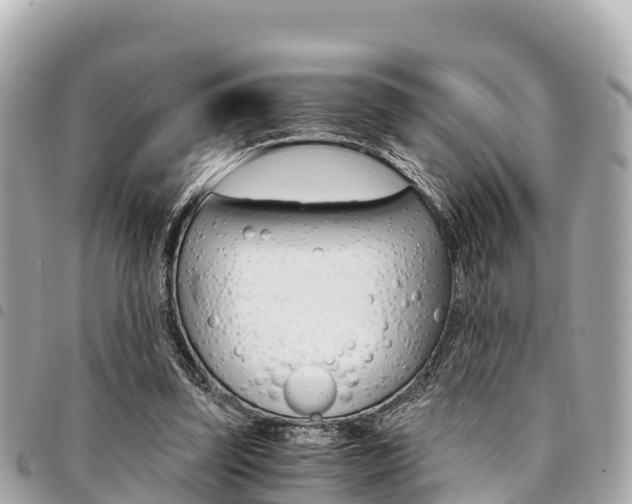 X0000095520347200712140914