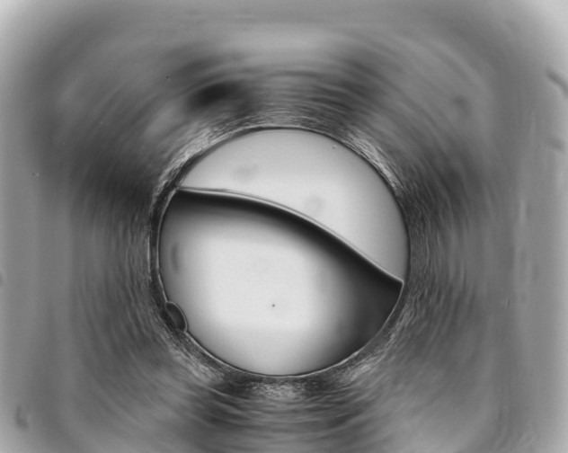 X0000095520349200712140914
