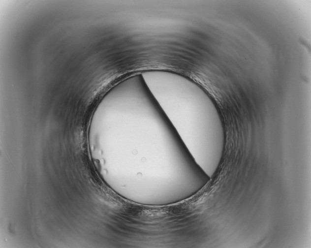 X0000095520351200712140914